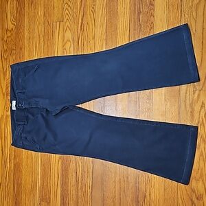 American Eagle Navy Blue Chinos
